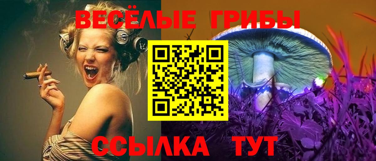 Галлюциногенные грибы ЛСД  Вход с VPN  Галлюциногенные грибы прущие грибы  Десногорск 